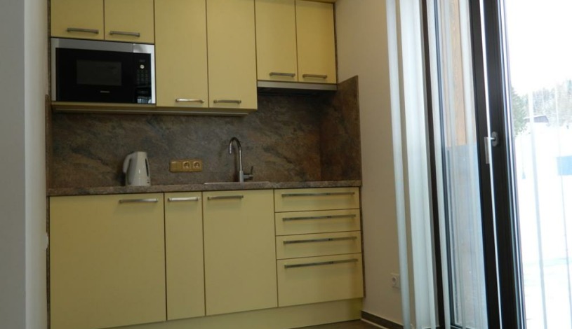 Apartmány Zvon Špindlerův Mlýn Špindlerův Mlýn - Apartmá č. 202 (1+kk)